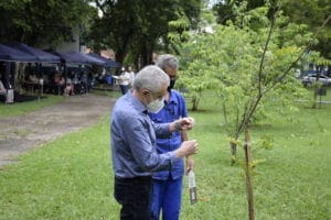 Bosque do Saber: projeto cria raízes institucionais 9 DSC1726